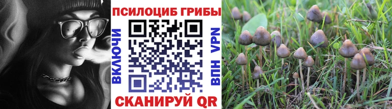 даркнет официальный сайт  Калининск  Псилоцибиновые грибы Psilocybine cubensis  kraken  